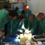 img Cadaver Lab Paris arthrodèse de cheville